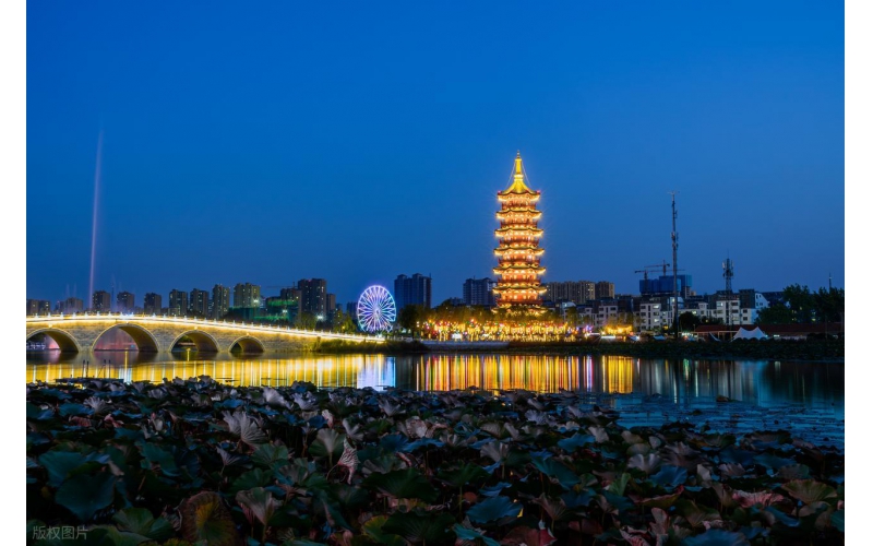 菏泽亮化工程：山东原实科技的牡丹文脉光影实践